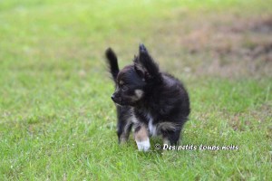 Ihni 02 oct 13 (31) copie