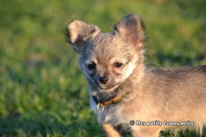 Lol 25 décembre 15 (9)